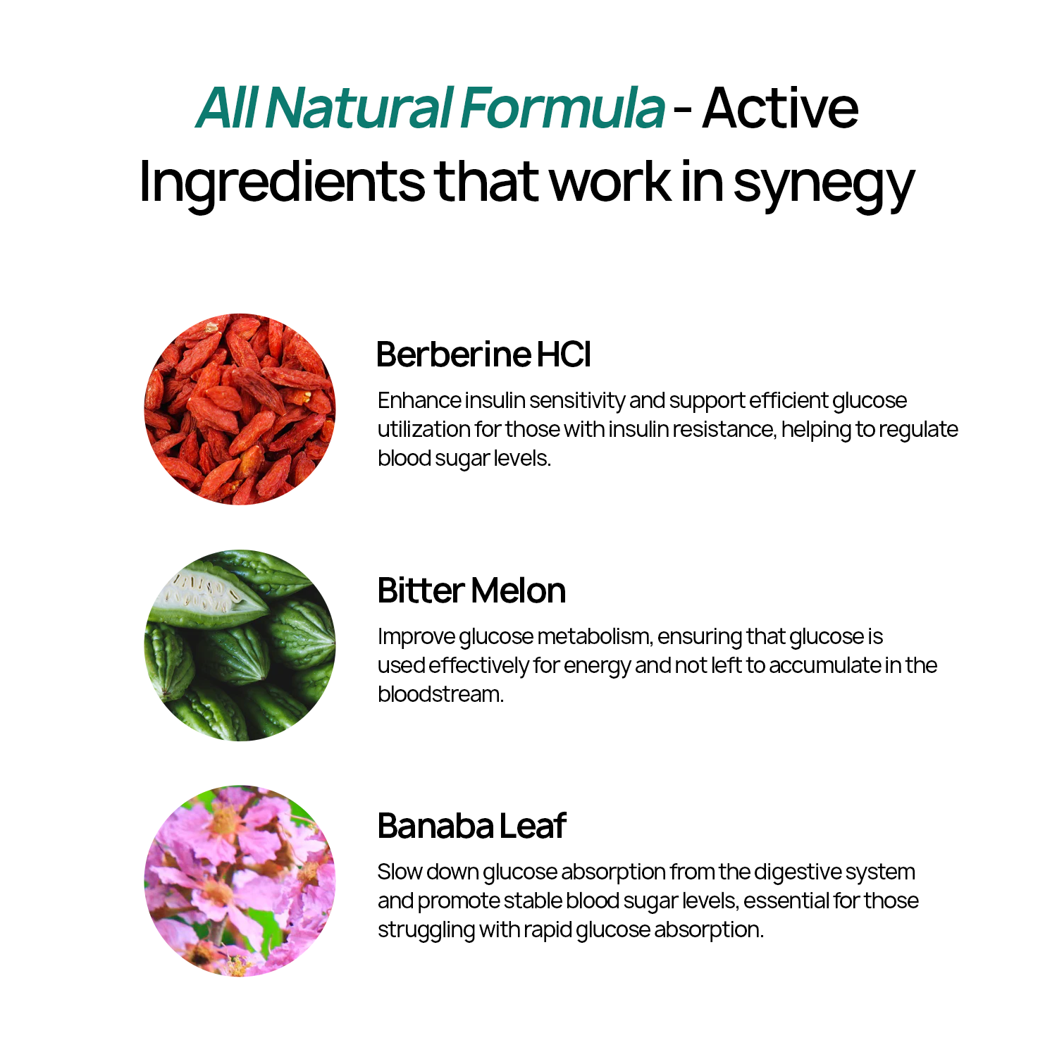 Berberine Plus